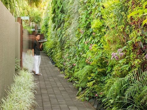 Ivilla By Ekosistem Seminyak  Ngoại thất bức ảnh